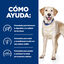 370 g Hill's Prescription Diet Food Sensitivities d/d Pato lata para perros, , large indicador imagen numero 3